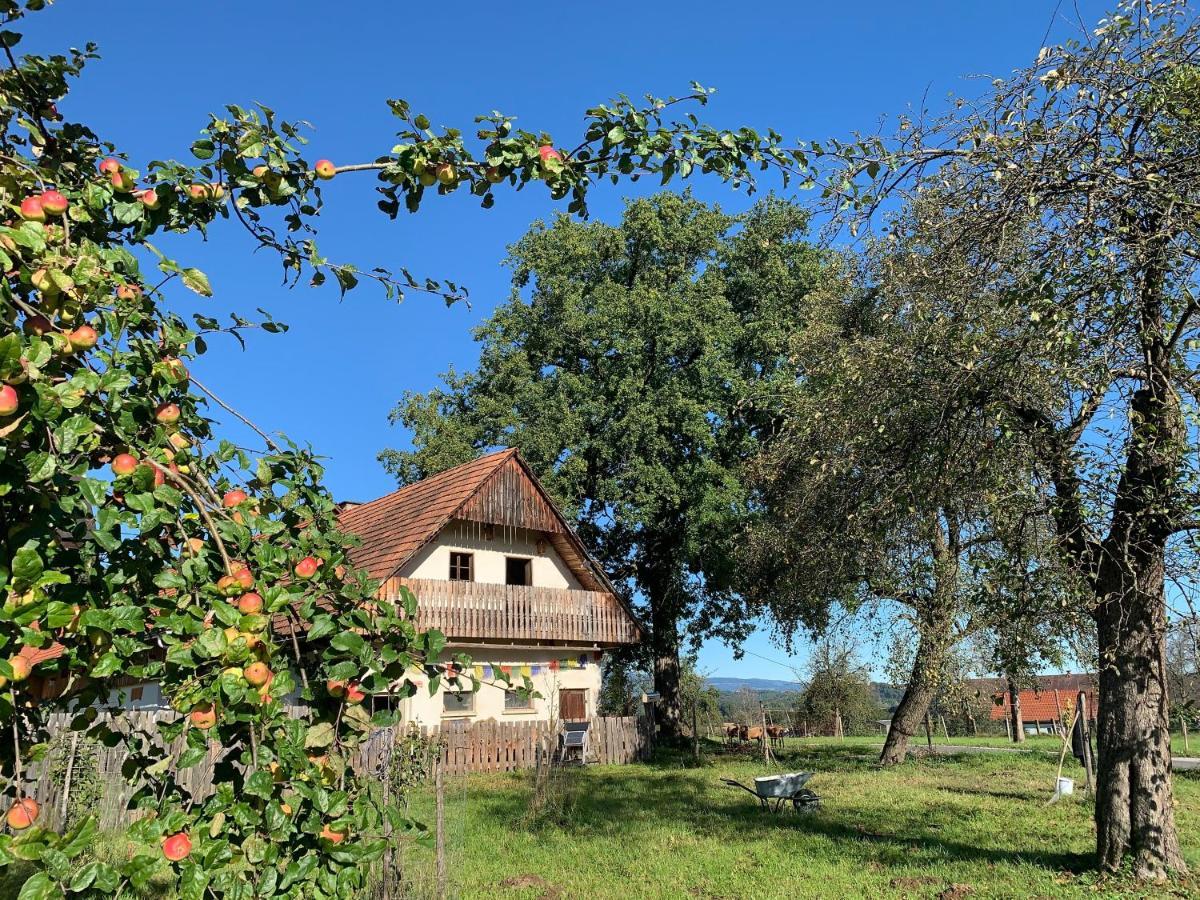 Kellerstöckl am veganen Bio-Lebenshof Varm - die vegane Farm - nur für Hundefreunde und Naturliebhaber empfohlen !! Sulb Exterior foto