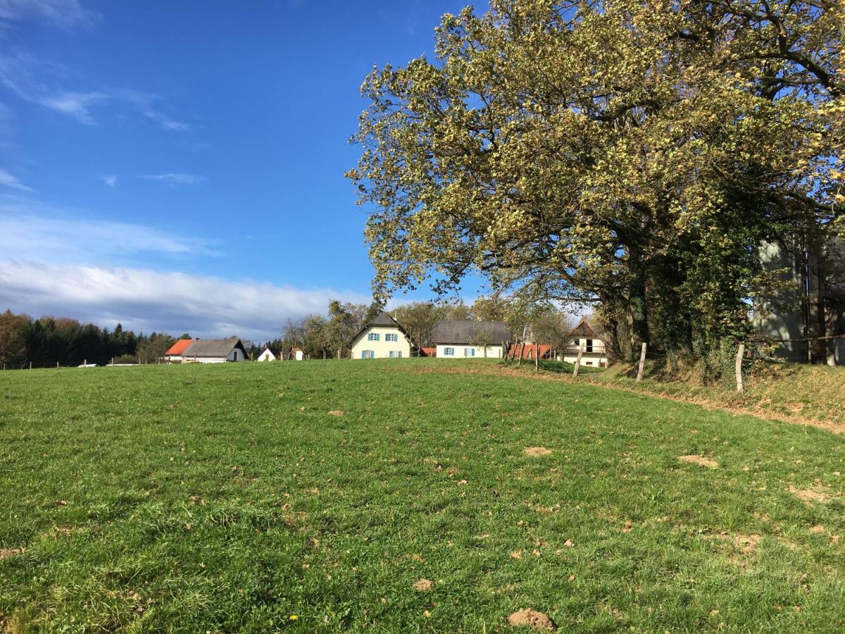 Kellerstöckl am veganen Bio-Lebenshof Varm - die vegane Farm - nur für Hundefreunde und Naturliebhaber empfohlen !! Sulb Exterior foto