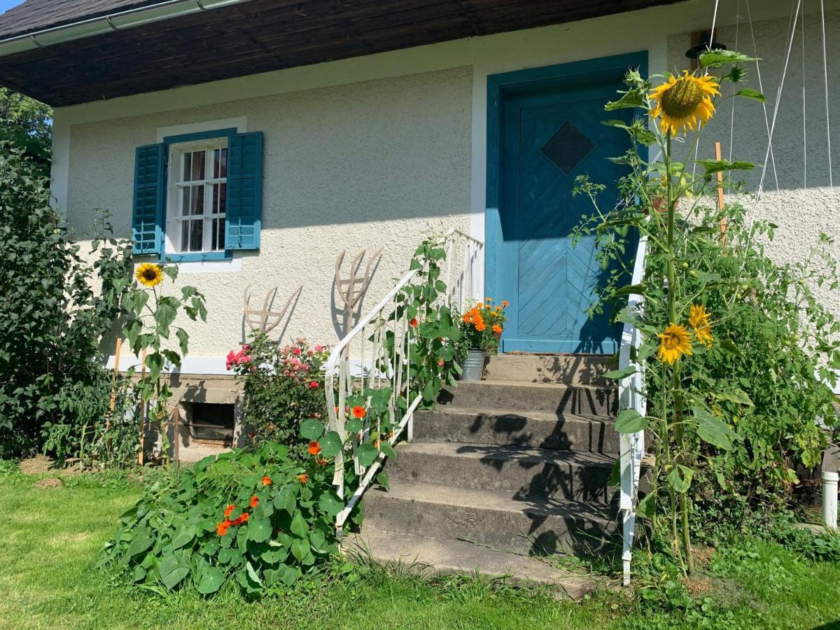 Kellerstöckl am veganen Bio-Lebenshof Varm - die vegane Farm - nur für Hundefreunde und Naturliebhaber empfohlen !! Sulb Exterior foto