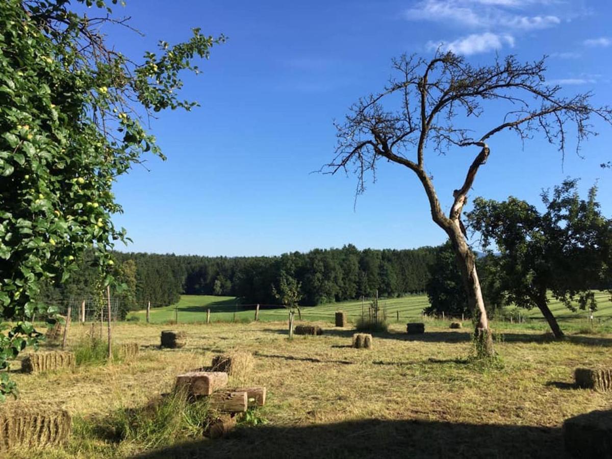 Kellerstöckl am veganen Bio-Lebenshof Varm - die vegane Farm - nur für Hundefreunde und Naturliebhaber empfohlen !! Sulb Exterior foto