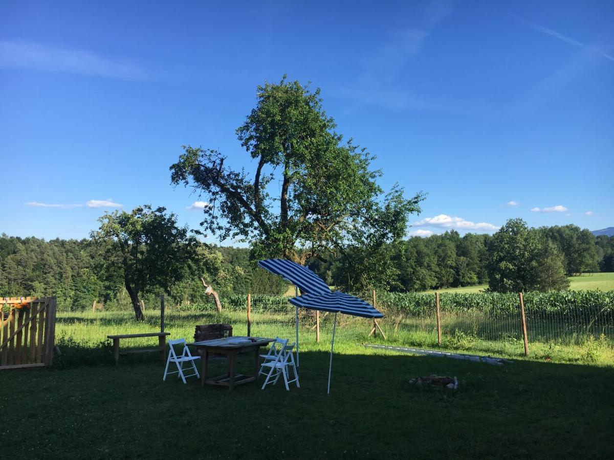 Kellerstöckl am veganen Bio-Lebenshof Varm - die vegane Farm - nur für Hundefreunde und Naturliebhaber empfohlen !! Sulb Exterior foto