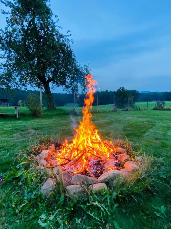 Kellerstöckl am veganen Bio-Lebenshof Varm - die vegane Farm - nur für Hundefreunde und Naturliebhaber empfohlen !! Sulb Exterior foto